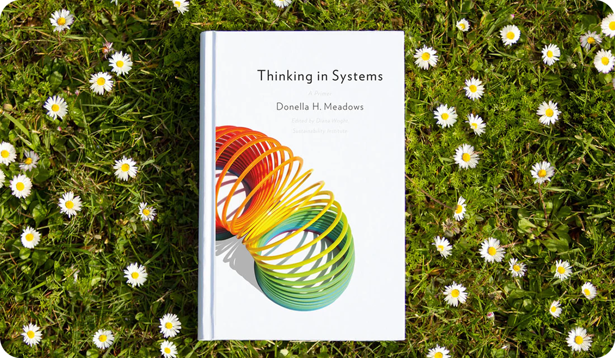 Thinking in Systems by Donella H. Meadows on a bed of grass and daisies